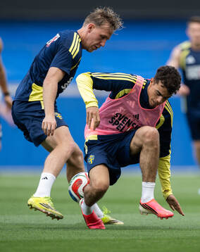 Herman Johansson and Yasin Ayari of the Swedish national