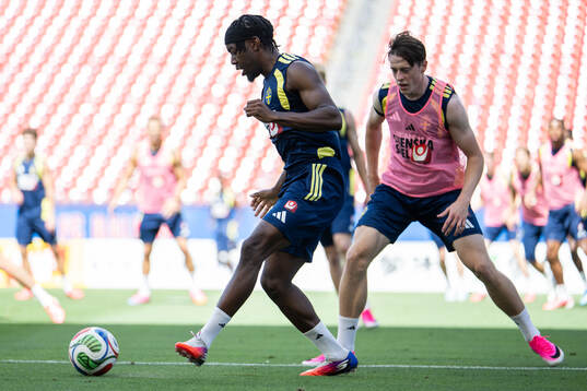 Anthony Elanga of the Swedish national football team at a
