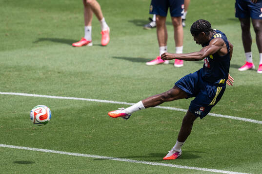 Anthony Elanga of the Swedish national football team at a