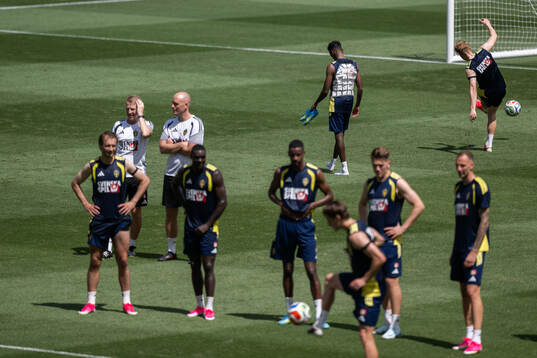 Taha Ali of the Swedish national football team at a