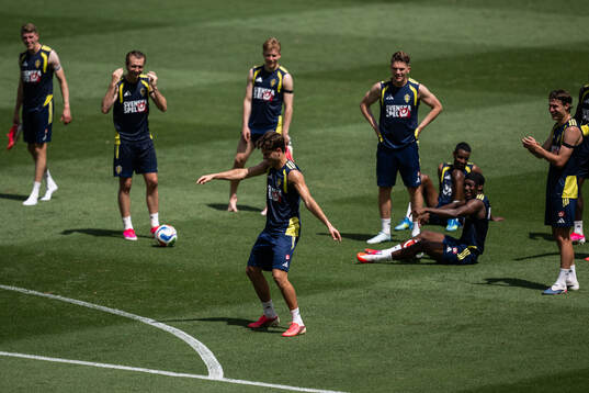 Besfort Zeneli of the Swedish national football team at a