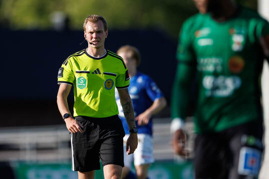 Domare Fredrik Alknäs