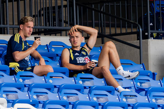 Herman Johansson and Gustaf Lagerbielke of the Swedish