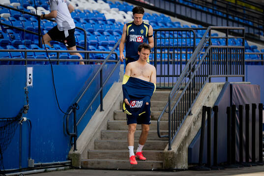 Mattias Svanberg and Hjalmar Ekdal of the Swedish national