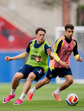 Elliot Stroud and Yasin Ayari of the Swedish national