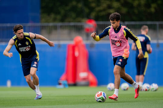 Mattias Svanberg and Yasin Ayari of the Swedish national