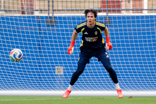 Goalkeeper Jacob Widell Zetterström of the Swedish