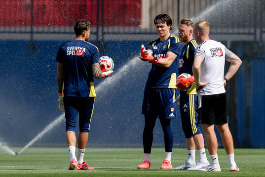 Goalkeeper Kristoffer Nordfeldt, goalkeeper Jacob Widell