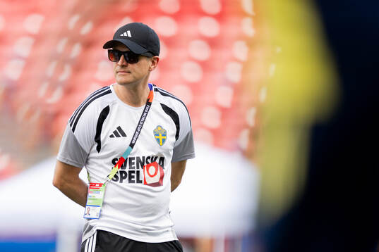 Jonas Werner, doctor of the Swedish national football team