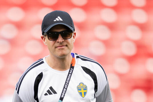 Jonas Werner, doctor of the Swedish national football team
