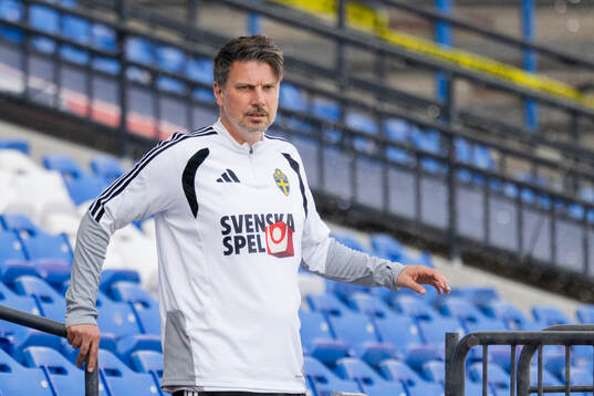 Daniel Ekvall, sports psychologist of the Swedish national