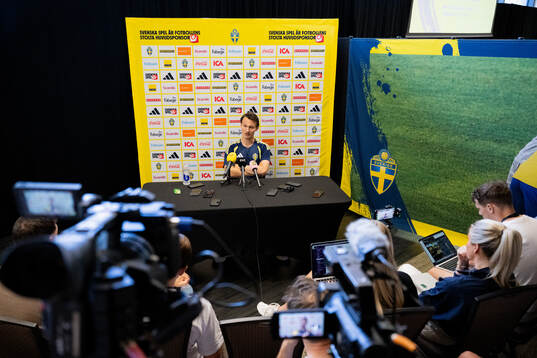 Hjalmar Ekdal of the Swedish men's national football team
