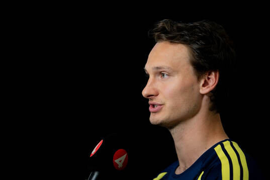 Hjalmar Ekdal of the Swedish men's national football team