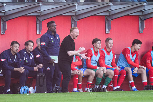 Helsingborgs manager Stevie Grieve