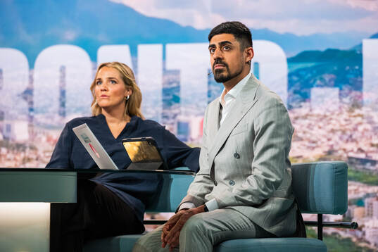 Experter Irma Helin Zibanejad och Siavoush Fallahi