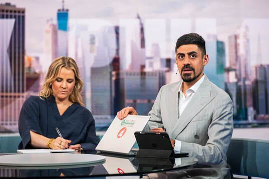 Experter Irma Helin Zibanejad och Siavoush Fallahi