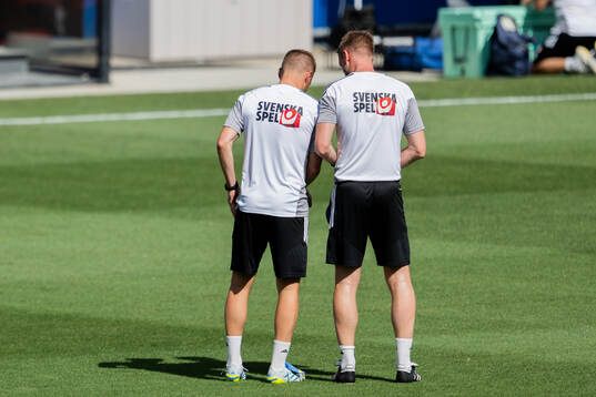 Assistant coach Sebastian Larsson and Head coach Graham