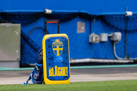A speaker of the Swedish national football team at a