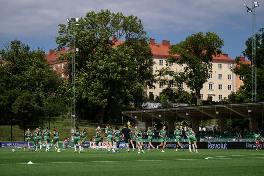 Hammarbys spelare