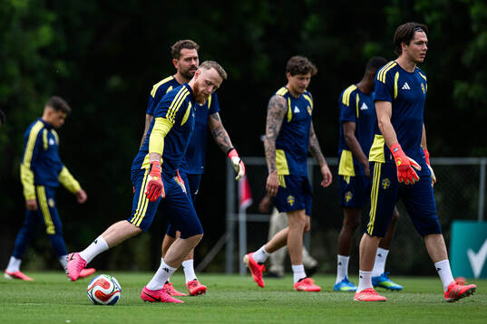 Goalkeepers Viktor Johansson, Kristoffer Nordfeldt and