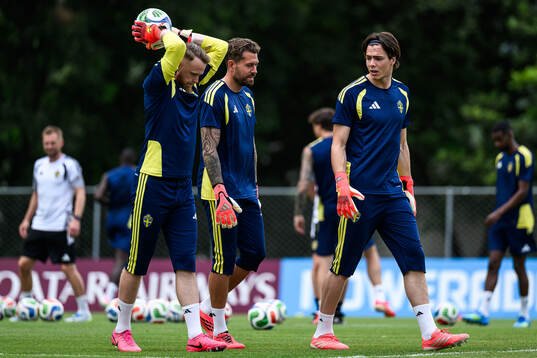 Goalkeepers Viktor Johansson, Kristoffer Nordfeldt and