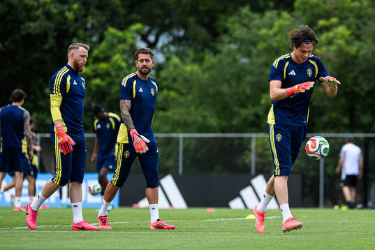 Goalkeepers Viktor Johansson, Kristoffer Nordfeldt and