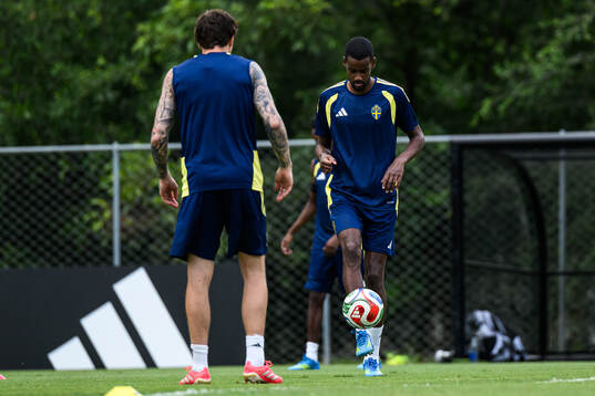 Alexander Isak of the Swedish national football team at a