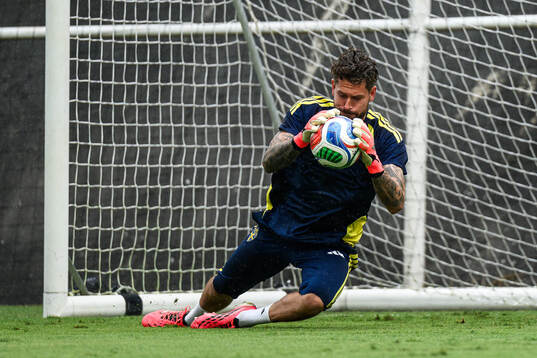 Goalkeeper Kristoffer Nordfeldt of the Swedish national