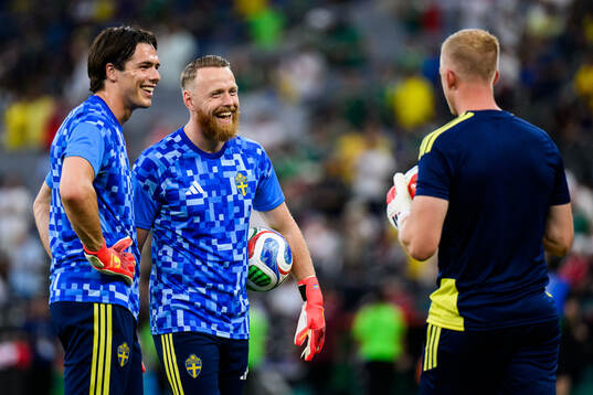 goalkeeper Jacob Widell Zetterström, goalkeeper Viktor