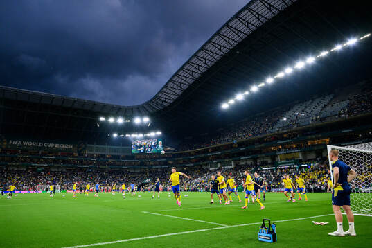 Players of Sweden