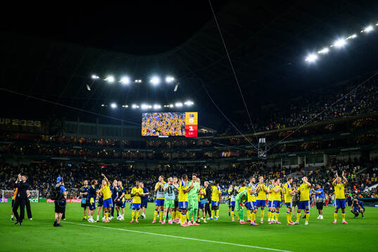 Players of Sweden