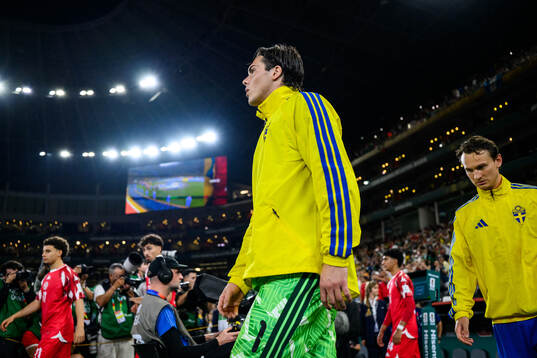 goalkeeper Jacob Widell Zetterström and Hjalmar Ekdal of