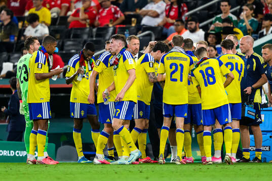 Players of Sweden