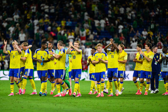 Players of Sweden