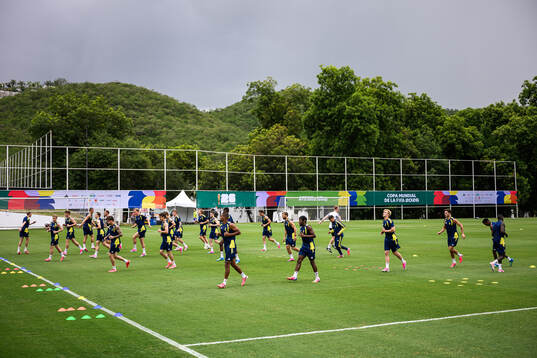Players of the Swedish national football team at a training