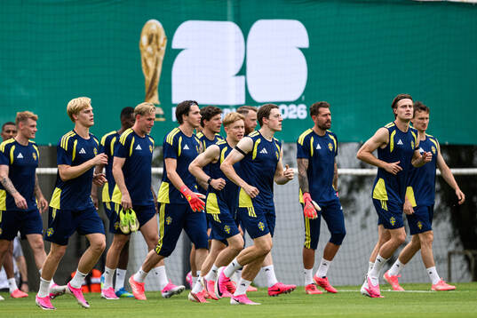 Players of the Swedish national football team at a training