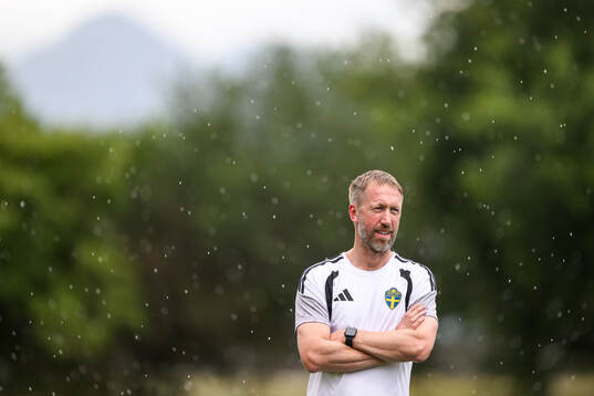 Head coach Graham Potter of the Swedish national football