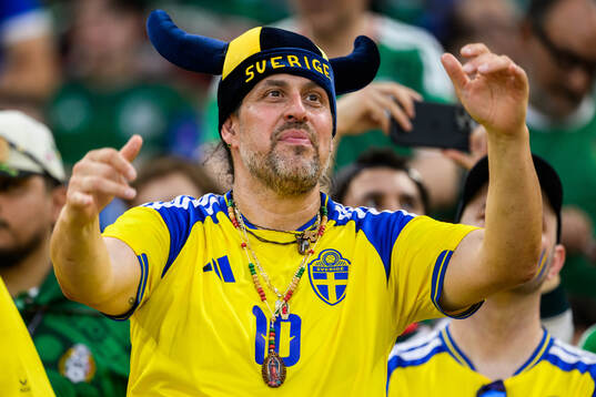 Swedish singer Dogge Doggelito in the stands