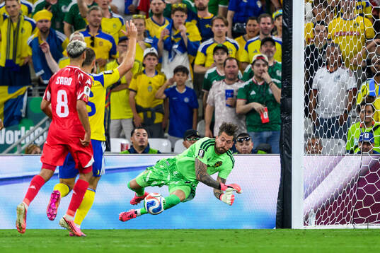 goalkeeper Kristoffer Nordfeldt of Sweden