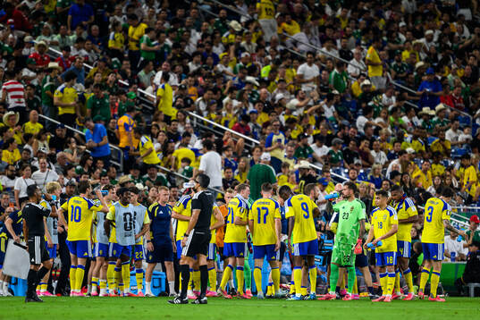 Players of Sweden