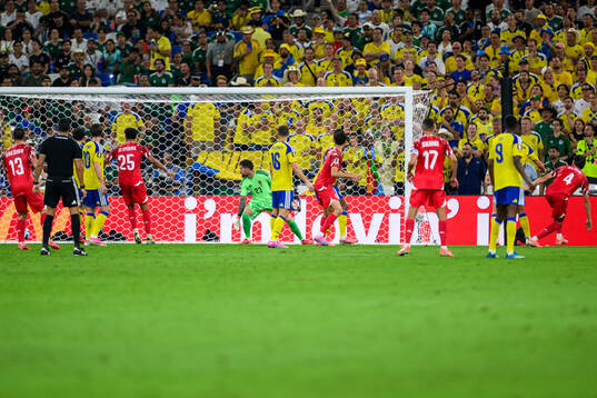 goalkeeper Kristoffer Nordfeldt of Sweden concedes 2-1