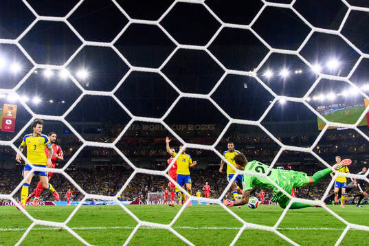 goalkeeper Kristoffer Nordfeldt of Sweden