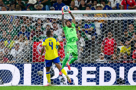 goalkeeper Kristoffer Nordfeldt of Sweden