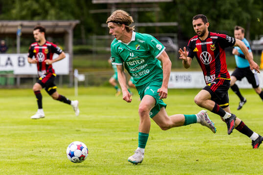 Ljungskiles David Frisk