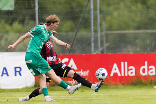 Ljungskiles David Frisk