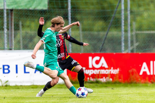 Ljungskiles David Frisk
