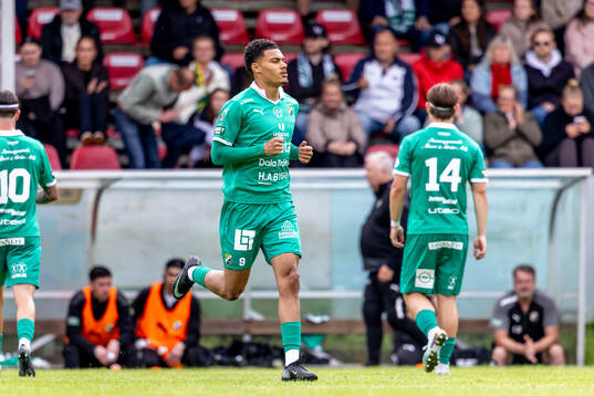 Ljungskiles Alex Rasheed