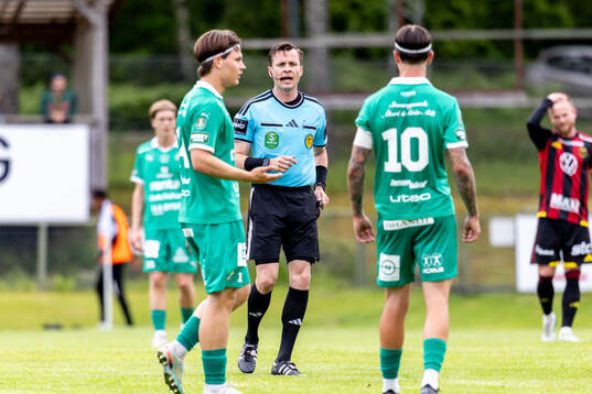 Domare Niclas Karlsson