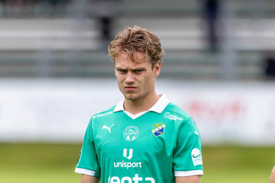 Ljungskiles Alfons Borén