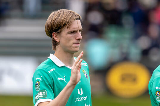 Ljungskiles David Frisk